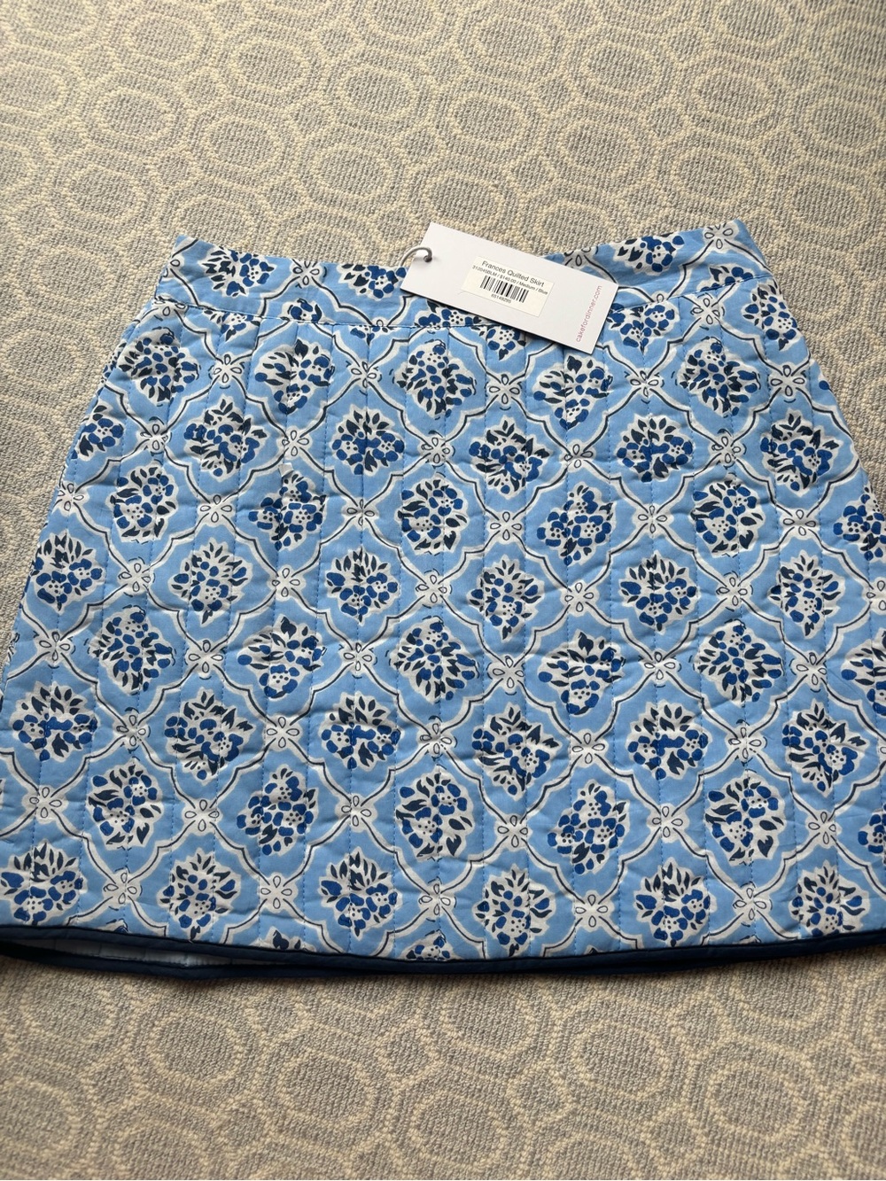 Cake for Dinner Light Blue Printed A-Line Skirt